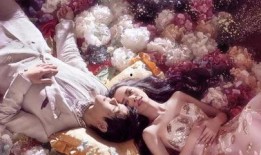 神仙爱情爆料视频大全集,揭秘视频大全集里的浪漫传奇